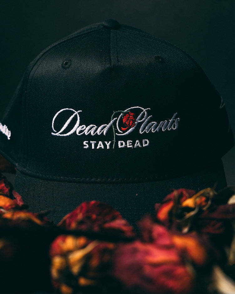 Dead Plants Stay Dead Black Snapback - trainofthoughtcollective