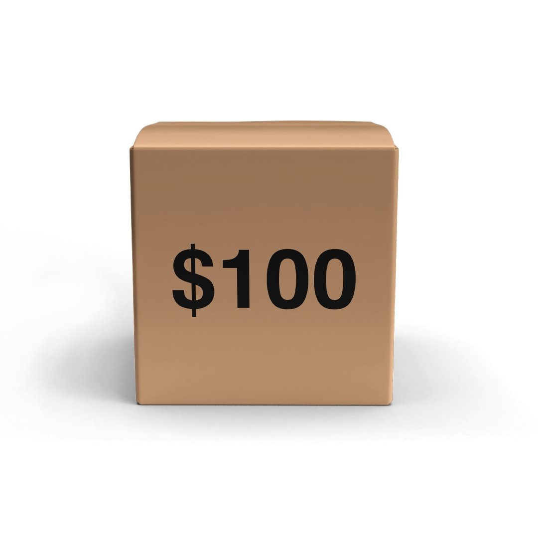Mystery Box $100 - trainofthoughtcollective