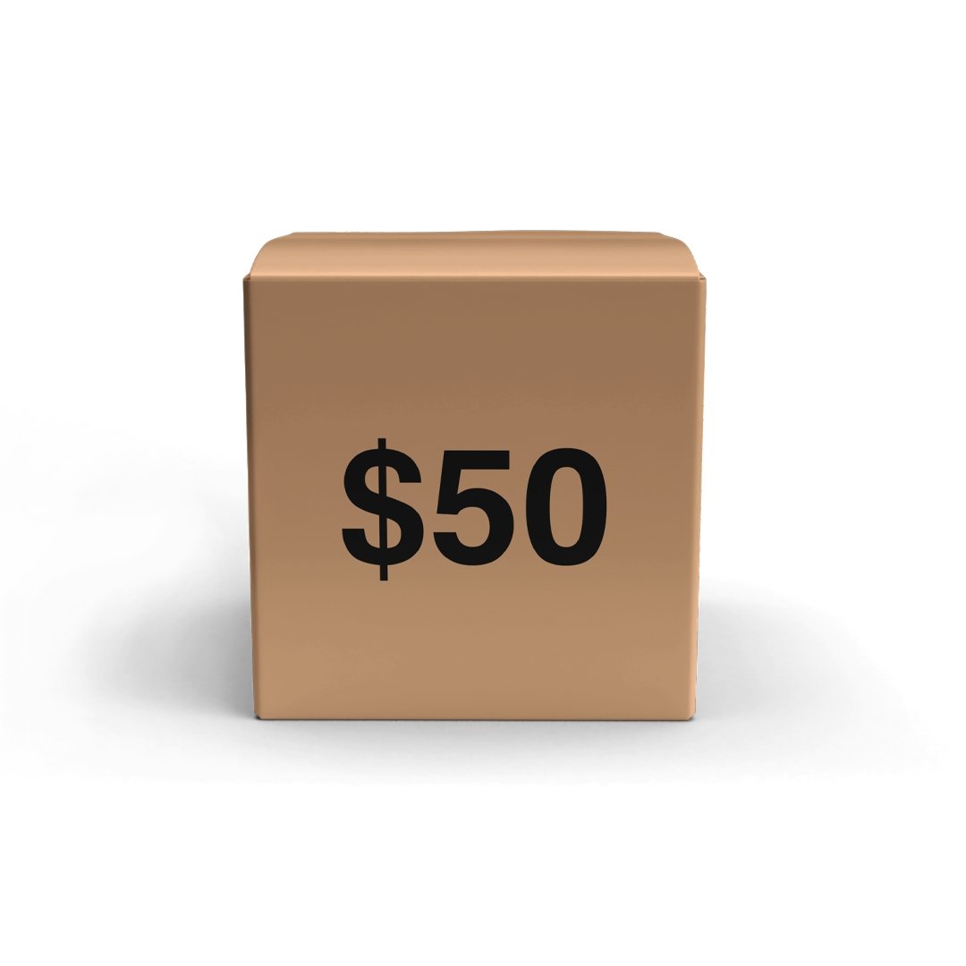 Mystery Box $50 - trainofthoughtcollective