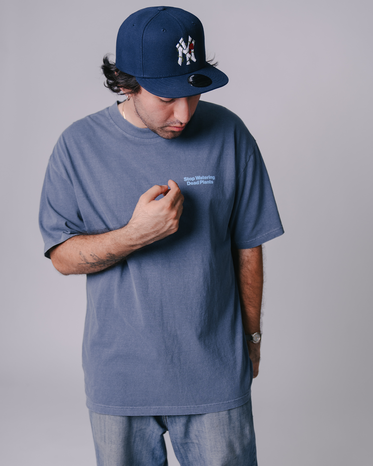#color_faded-blue