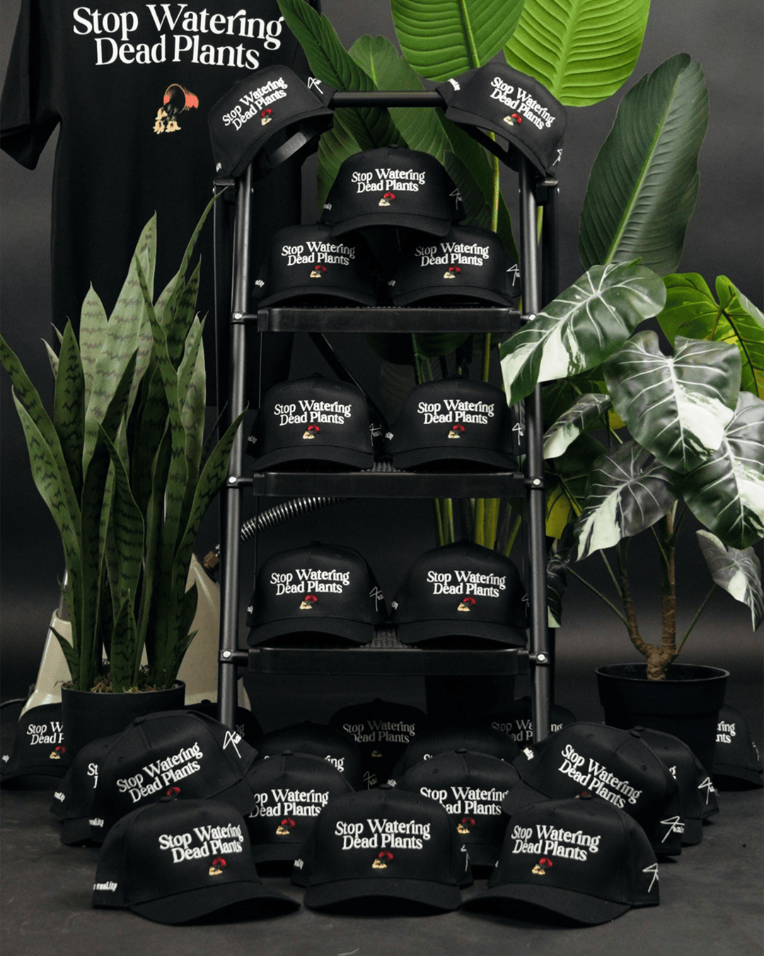 Stop Watering Dead Plants Black Snapback - trainofthoughtcollective