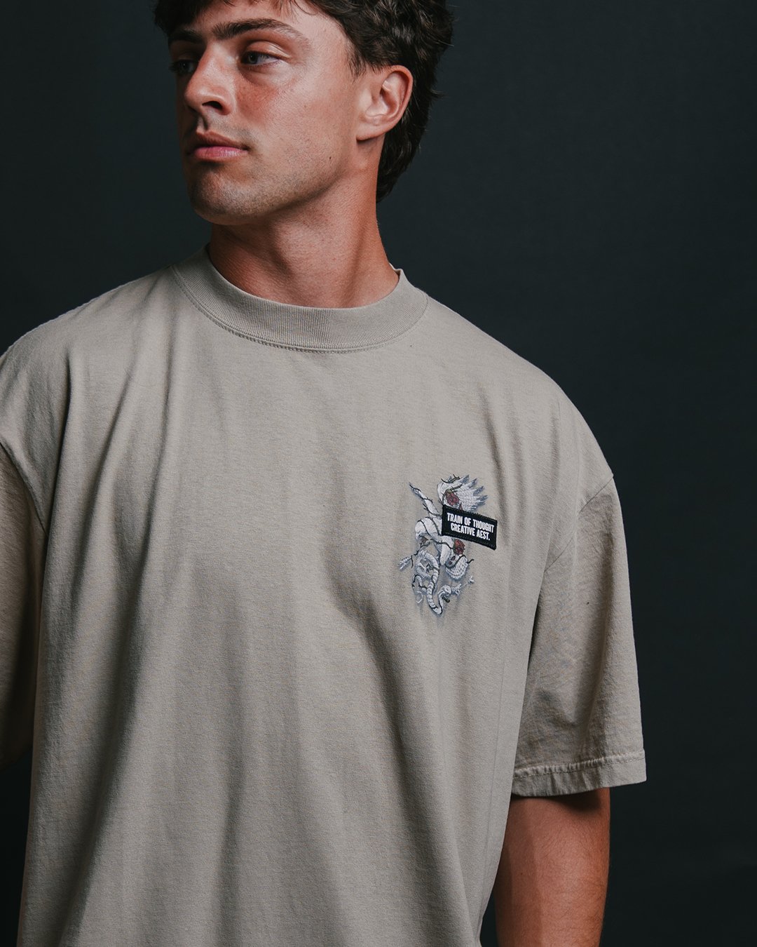 Survival of the Fittest Oversized Oatmeal Tee - trainofthoughtcollective