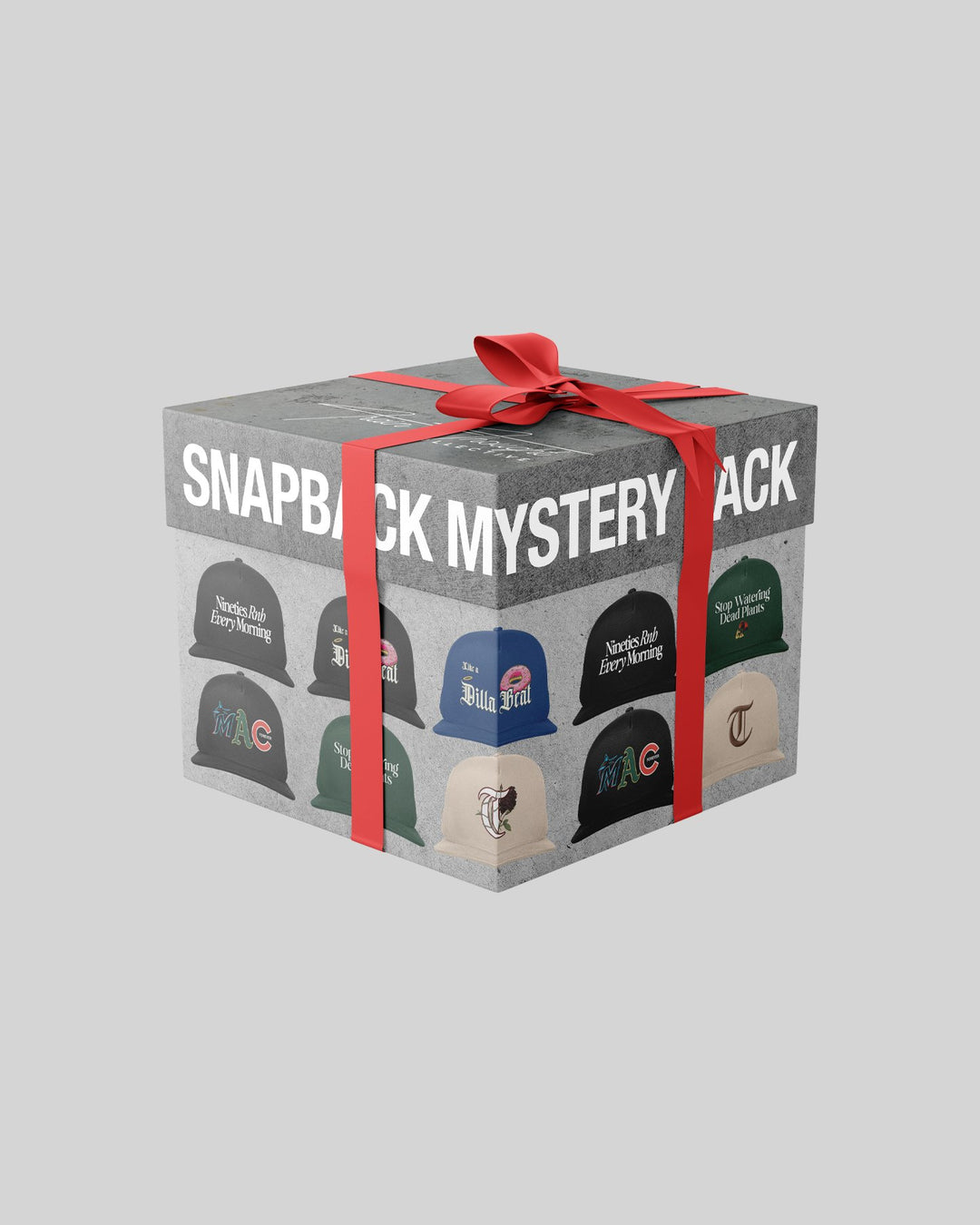 Snapback Mystery Pack (5 Snapback) - trainofthoughtcollective